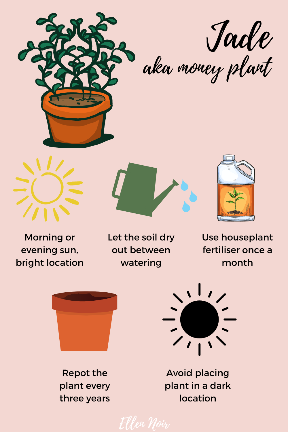 Jade plant care tips