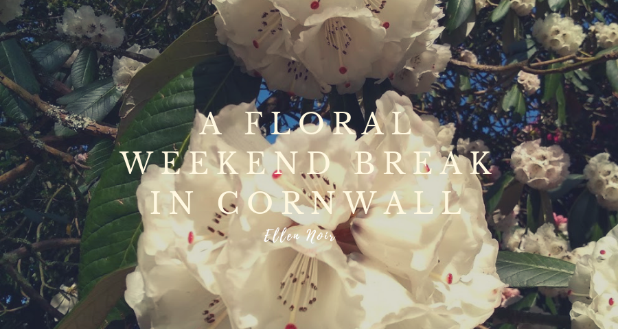 A Floral Weekend Break in Cornwall
