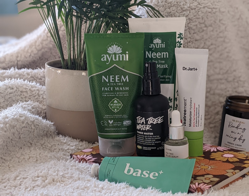 6 Best Tea Tree Skincare Products | How Can Tea Tree Help Your Skin?