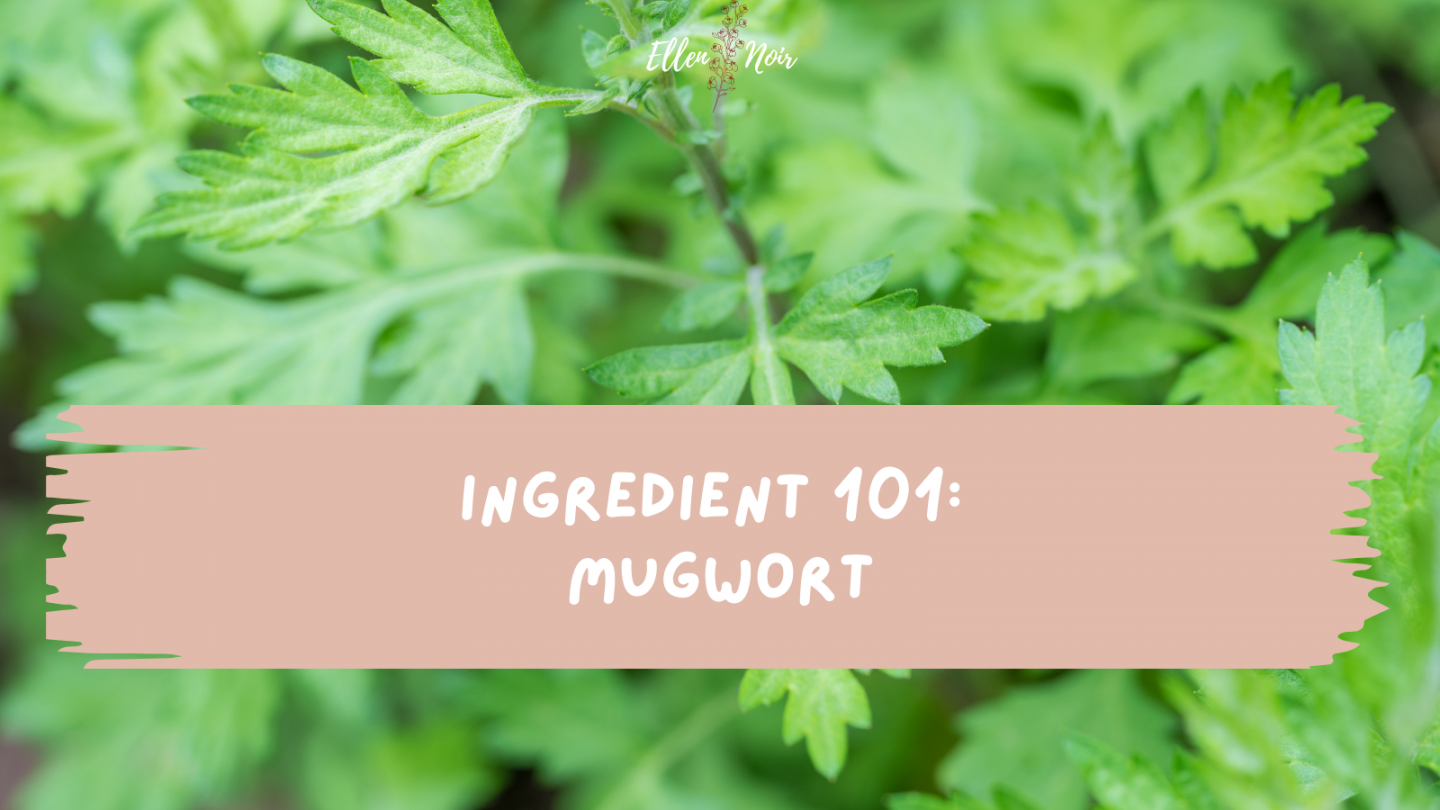 Ingredient 101: Mugwort