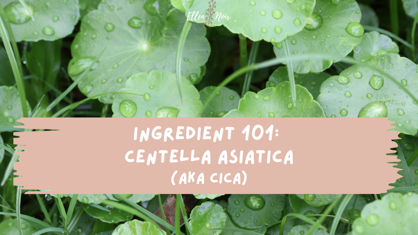 Ingredient 101: Centella Asiatica aka Cica